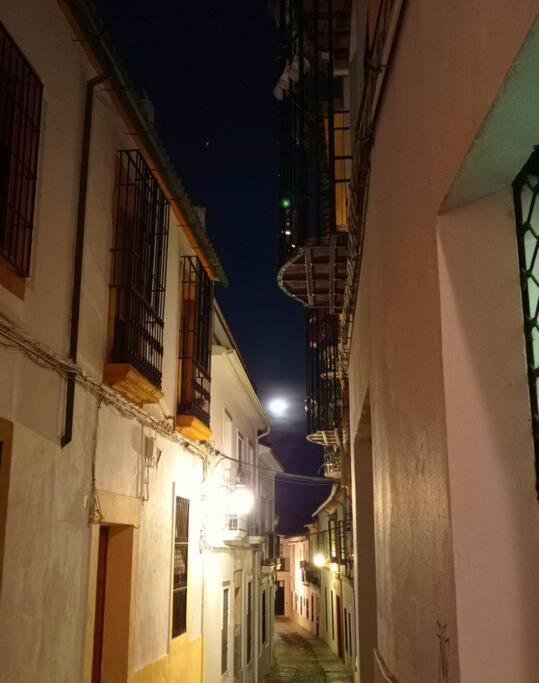 Apartament Precioso Loft En El Centro De Cordoba. Zewnętrze zdjęcie