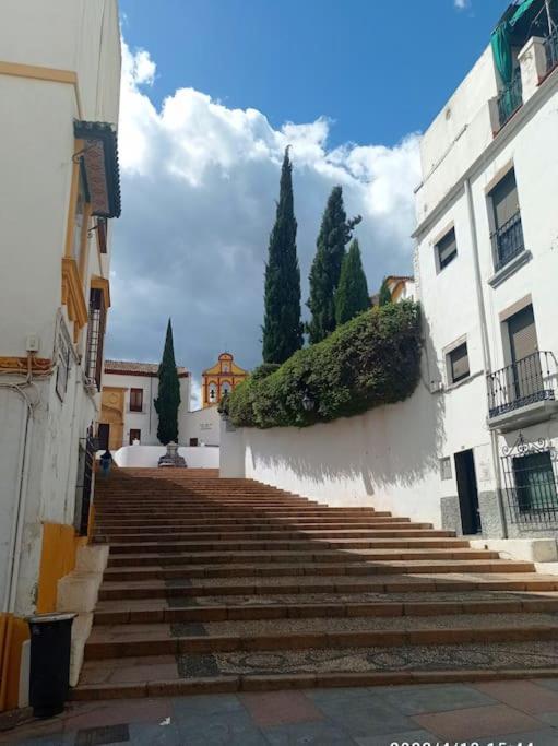 Apartament Precioso Loft En El Centro De Cordoba. Zewnętrze zdjęcie