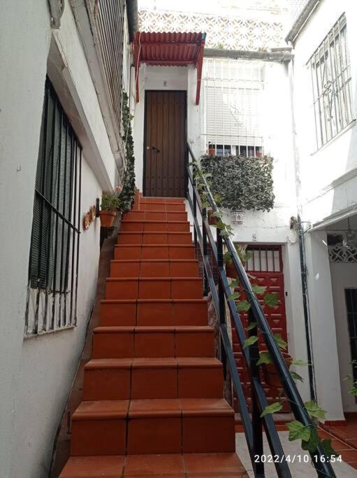 Apartament Precioso Loft En El Centro De Cordoba. Zewnętrze zdjęcie
